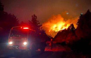 Лісові пожежі в Туреччині: кількість жертв зросла