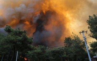 В Туреччині продовжують вирувати жахливі лісові пожежі: усі подробиці