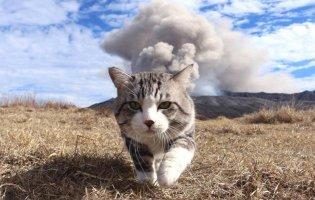 Найзухваліші люди за знаком Зодіаку: ТОП-4