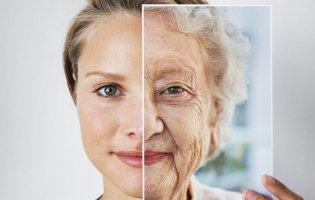 Від чого насправді залежить старіння