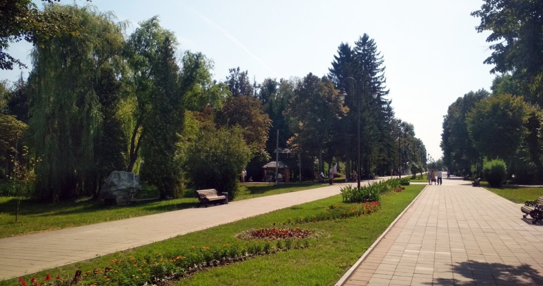 В одному з парків Луцька поремонтують пішохідні доріжки