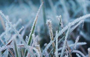 В Україні наступного тижня прогнозують заморозки
