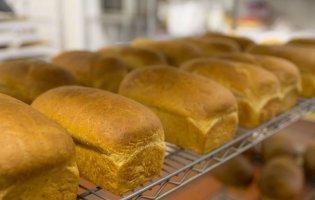 Рекордний врожай та обіцянки бізнесменів: що буде з цінами на хліб, олію та цукор
