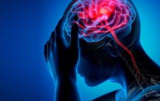 Які продукти шкодять мозку: несподівані висновки вчених