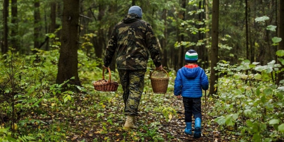 На Волині у чотирьох грибників виявили хворобу Лайма