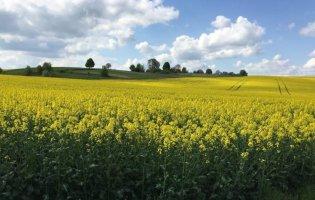 Села на Волині змагаються за звання найкрасивішого в Україні