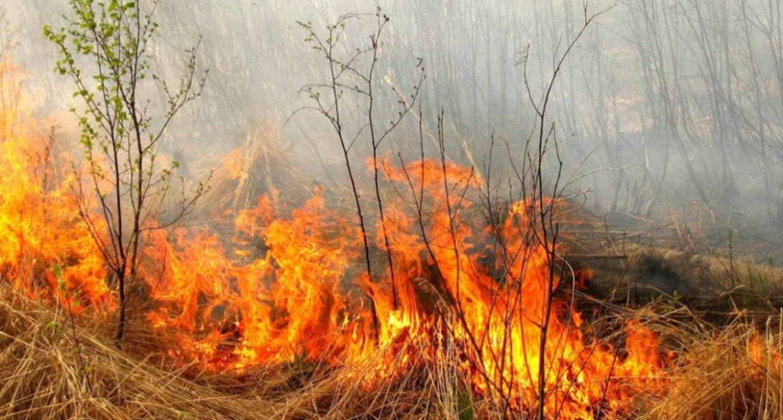 У семи областях України - пожежна небезпека