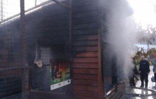 У зоопарку в Луцьку сталася пожежа, загинули тварини