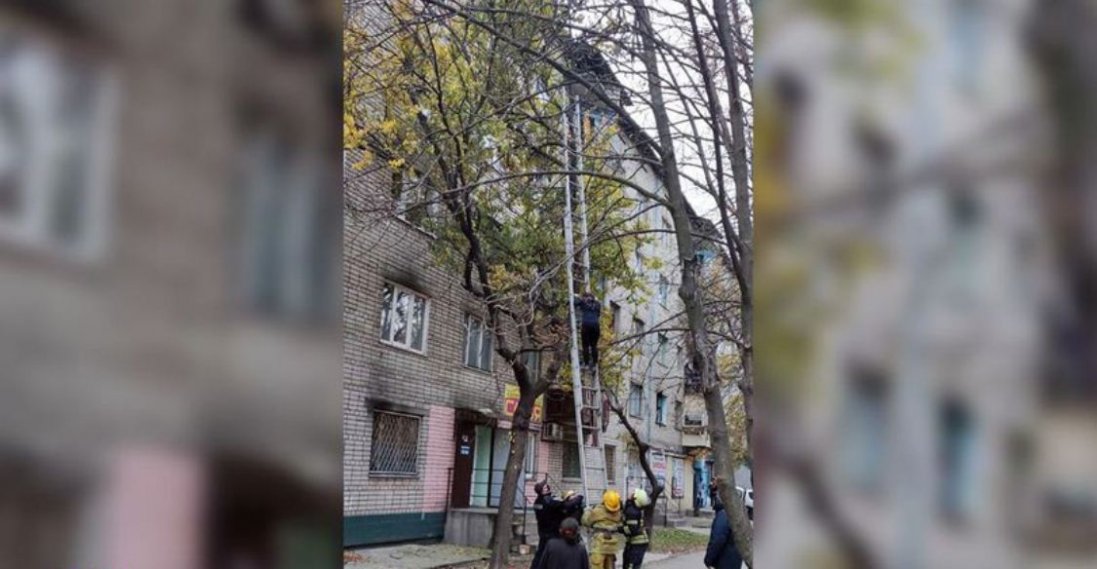 На Дніпропетровщині вагітна вилізла на дерево:  чому вона там опинилася