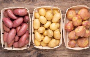 Лікарі пояснили, кому не можна їсти картоплю