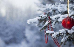 Чи буде сніг на Новий рік 2022 в Україні, - прогноз синоптиків