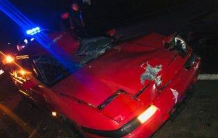 На Волині автівка збила лося: водія госпіталізували