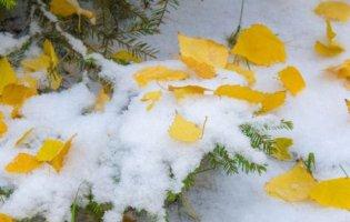 Дощ із переходом у мокрий сніг: де саме в Україні буде така погода 5 грудня