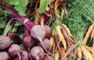 Буряк та болгарський перець: на які овочі в Україні підскочили ціни