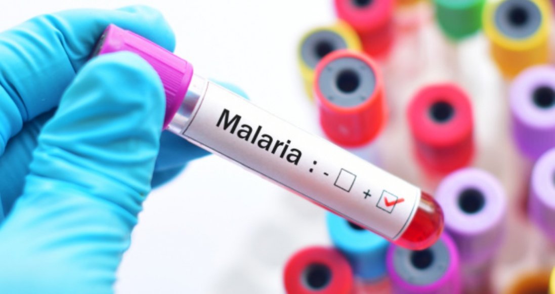 У Харкові в студента виявили малярію