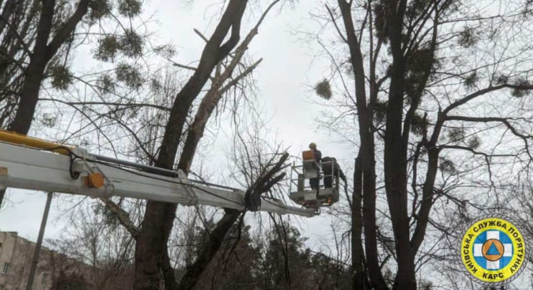 У Києві дерево впало на авто через вітер: є постраждалі