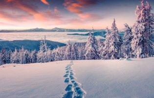 Снігопади із хуртовинами: прогноз погоди на 30 січня 2022
