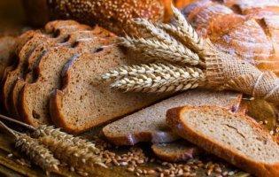 Хлеб – символ новой жизни и красоты