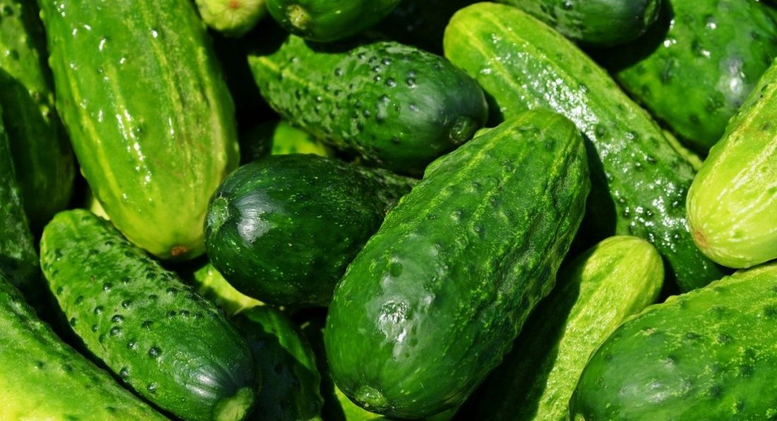 В Україні подорожчали огірки