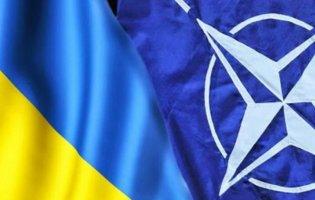 Почалася зустріч Північноатлантичної ради