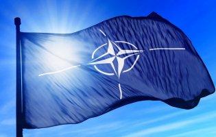 Сцикуни з НАТО не дадуть Україні танки та літаки