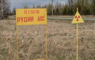 У росіян, які жили в «Рудому лісі» немає шансів на життя