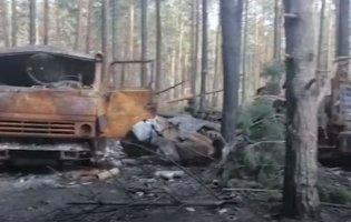 Під Києвом знайдено ще одне поховання мирних жителів