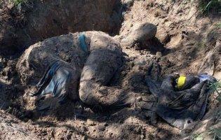 На Київщині знайдено тіла ще трьох мирних жителів: вбиті пострілами в голову