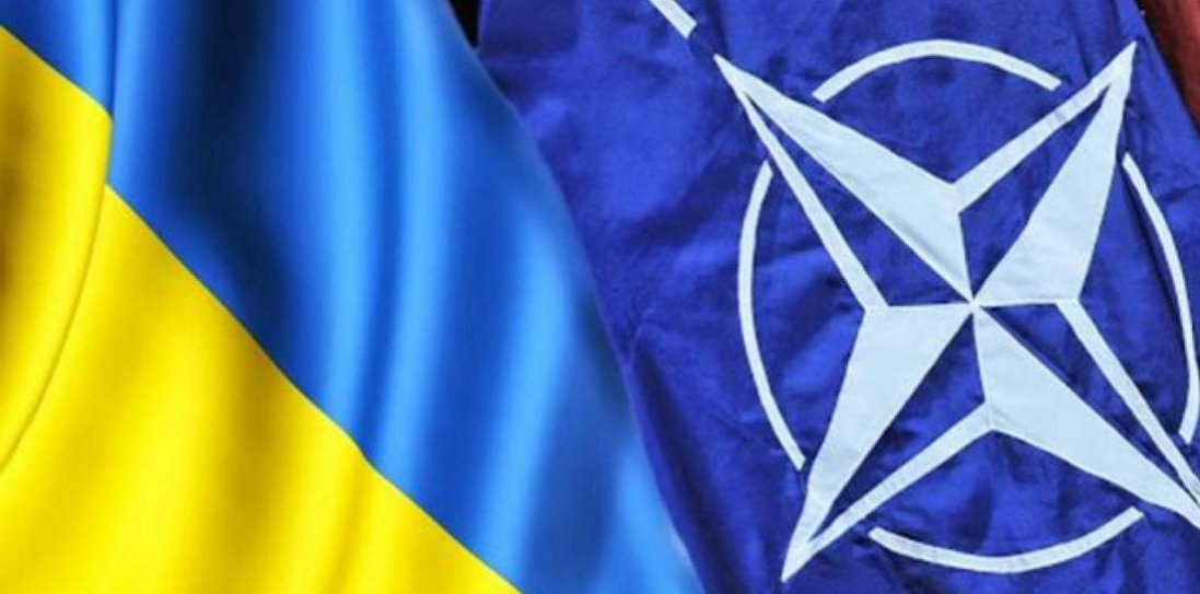 Україна може увійти до НАТО без етапу Плану дій щодо членства
