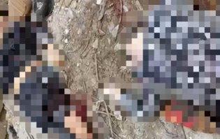 У Сєвєродонецьку росіяни обстріляли школу: є загиблі