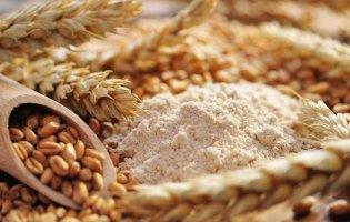 Експорт зерна: Туреччина веде переговори з Україною та росією