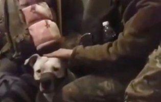 У військової з «Азовсталі» рашисти вкрали собаку й віддали кадирову