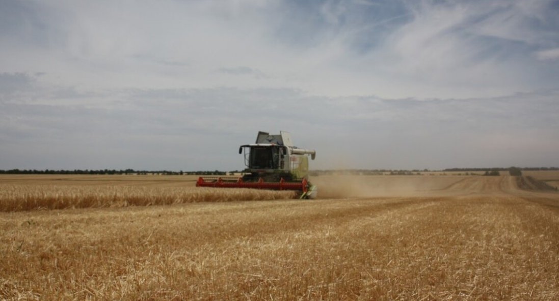У двох областях України почався збір ранніх зернових культур