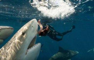 У Хургаді акула напала на ще одну жінку: нові деталі трагедії