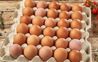 В Україні зросли ціни на яйця: що очікувати далі