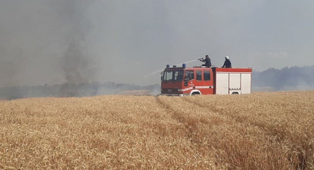 На Херсонщині за останні дні вигоріло понад 230 га пшениці