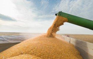 Скільки зерна планують вивезти з України й коли