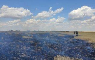 На Миколаївщині за добу - 8 пожеж: згоріли понад 200 гектарів пшениці