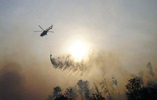 На Закарпатті три доби гасять масштабну лісову пожежу
