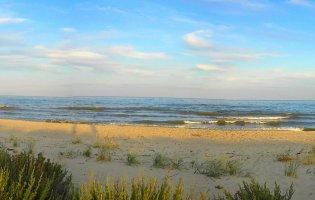 У Затоці зросла кількість загиблих та поранених, які підірвалися на міні