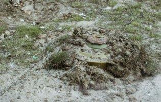 На Житомирщині на міні підірвався автомобіль з лісниками