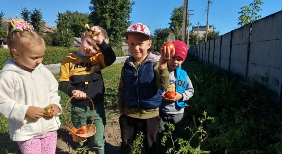 Вихованці Підгайцівського дитсадка збирали осінній урожай