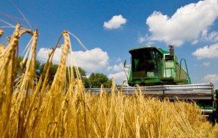 Збір зернових в Україні: скільки намолотили на середину вересня