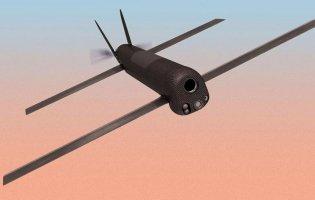 У США для ЗСУ спеціально виготовлятимуть далекобійні дрони
