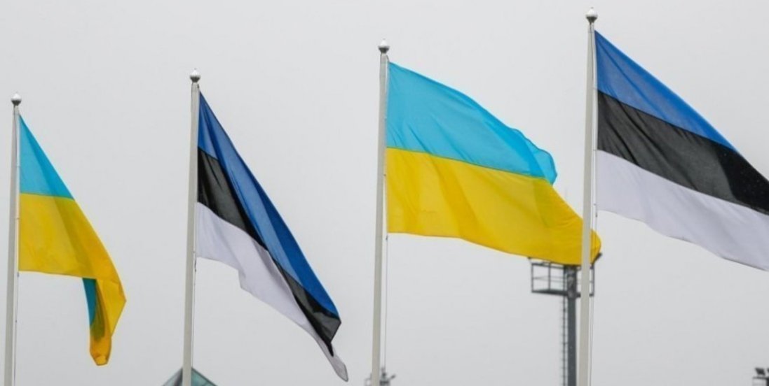 Естонія не даватиме притулок росіянам, бо «кожен громадянин відповідальний за дії держави»
