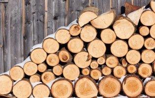 Хто зможе безкоштовно отримати дрова на зиму