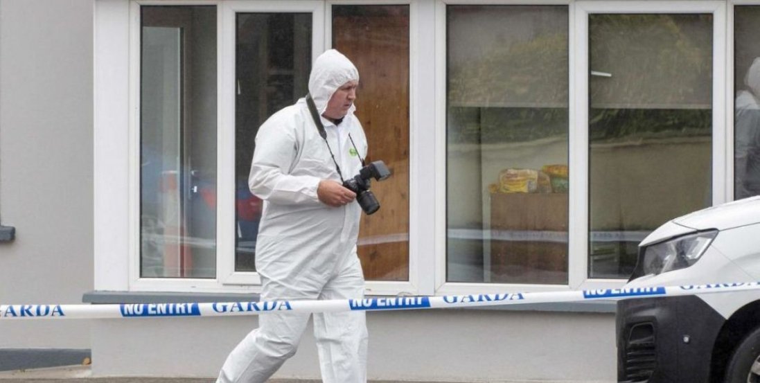 В Ірландії знайшли 8-річну українку: все тіло у  ножових пораненнях