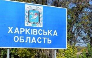 На звільнених територіях Харківщини виявили тіла 534 людей, з них 19 — діти