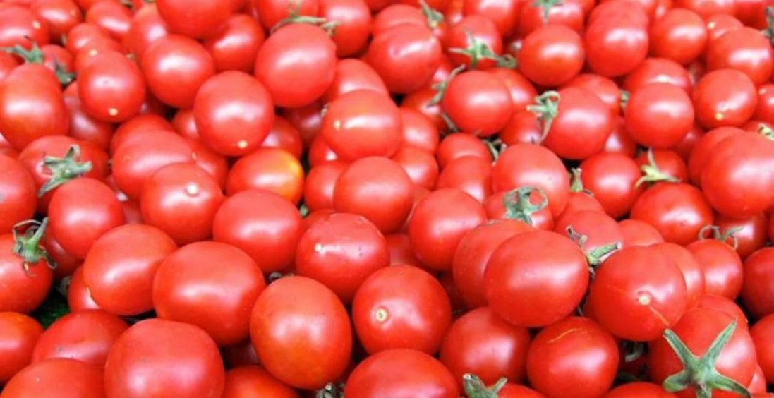 В Україні здорожчали помідори: скільки коштують