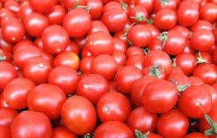 В Україні здорожчали помідори: скільки коштують